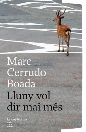LLUNY VOL DIR MAI MÉS | 9791387800260 | CERRUDO BOADA, MARC