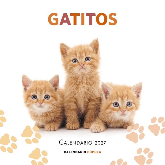 CALENDARIO GATITOS 2027 | 9788448049300 | AA. VV., AA. VV.