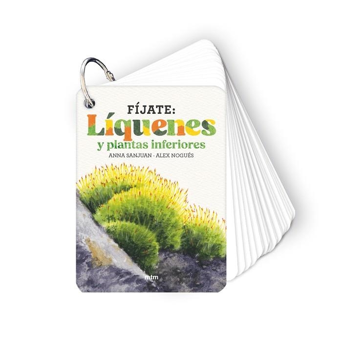 FÍJATE: LÍQUENES Y PLANTAS INFERIORES | 9788410407619 | SANJUAN LLORENS, ANNA / NOGUÉS OTERO, ALEX