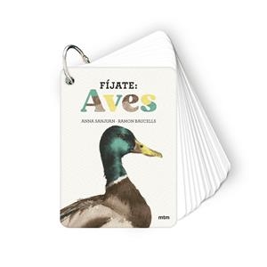 FÍJATE: AVES | 9788410407633 | SANJUAN LLORENS, ANNA / BAUCELLS COLOMER, RAMON