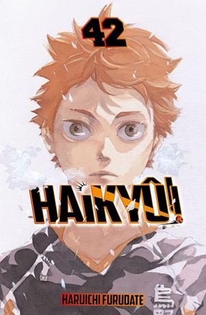 HAIKYÛ!! Nº 42/45 | 9791388101090 | FURUDATE, HARUICHI