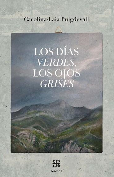 LOS DÍAS VERDES, LOS OJOS GRISES | 9788437508658 | PUIGDEVALL CLAVER, CAROLINA-LAIA