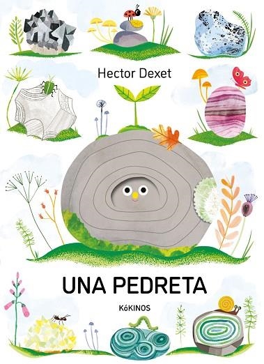 UNA PEDRETA | 9791387686413 | DEXET, HECTOR