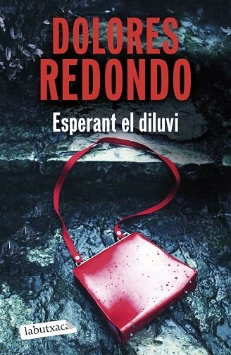 ESPERANT EL DILUVI | 9791387802875 | REDONDO, DOLORES