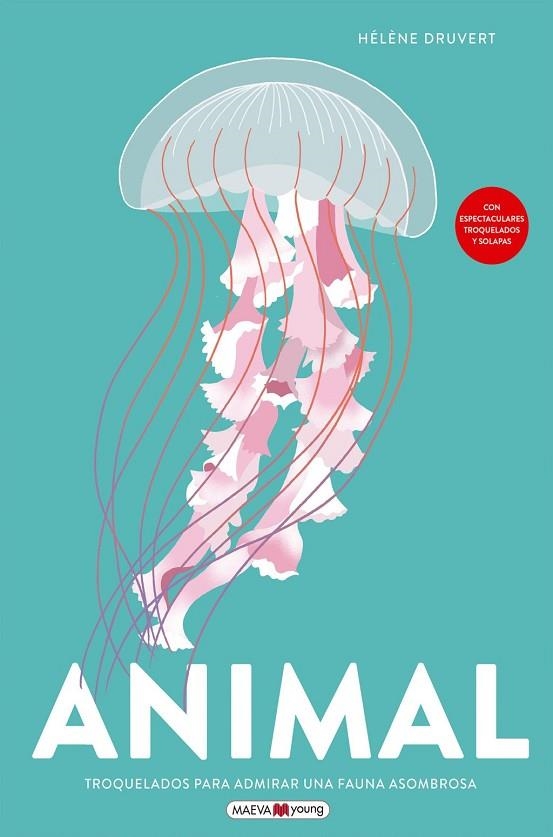 ANIMAL | 9791387664763 | DRUVERT, HELENE
