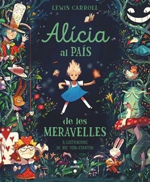 ALÍCIA AL PAÍS DE LES MERAVELLES | 9788466160513 | LEWIS, CARROLL