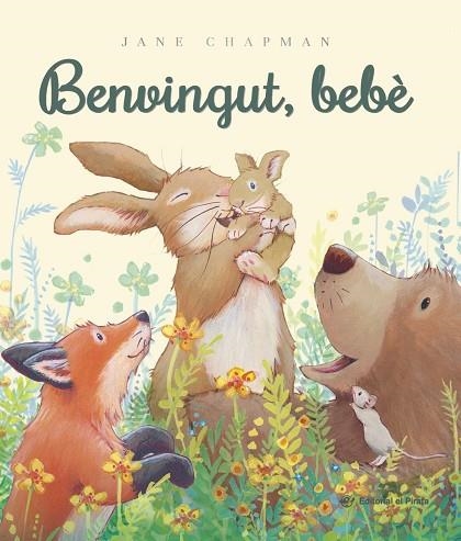 BENVINGUT, BEBÈ | 9788419912640 | CHAPMAN, JANE