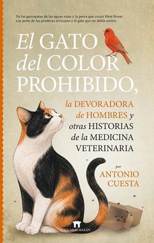 EL GATO DEL COLOR PROHIBIDO, LA DEVORADORA DE HOMBRES Y OTRAS HISTORIAS DE LA ME | 9791387941314 | CUESTA, ANTONIO
