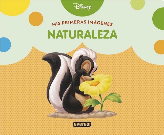 NATURALEZA | 9788444134161 | WALT DISNEY COMPANY