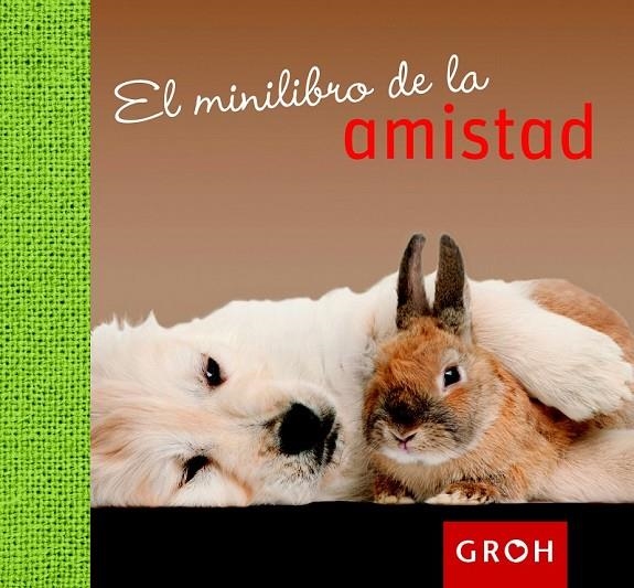 MINILIBRO DE LA AMISTAD | 9788490680094 | GROH