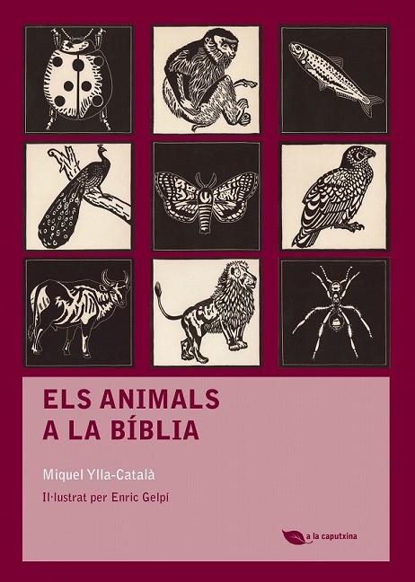 ANIMALS A LA BÍBLIA, ELS | 9788499792484 | YLLA-CATALA, MIQUEL