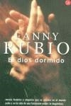 DIOS DORMIDO, EL | 9788466306164 | RUBIO, FANNY