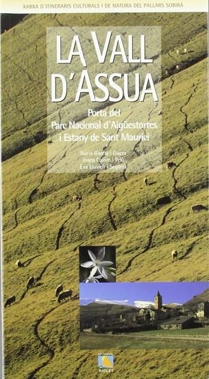 VALL D´ASSUA   LA | 9788492398447 | AAVV
